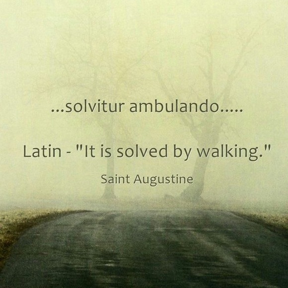 Meet your Posher, Ann - Picture 10 of 15